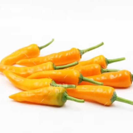 谢谢酱·乳酸菌贝丁黄酱 248g  乳酸菌发酵 快速提鲜增香 商品图2