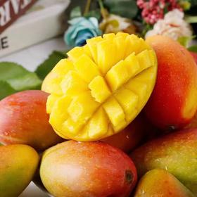 甄选 | 小贵妃芒当季 芒果新鲜水果