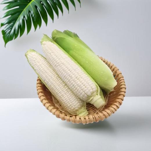 太阳公社 有机甜糯玉米 500g/份 商品图0