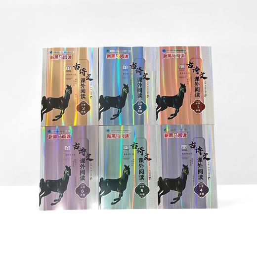 2026黑马阅读现代文课外阅读古诗文课外阅读同步拓展训练英语阅读训练123456年级任选 商品图3