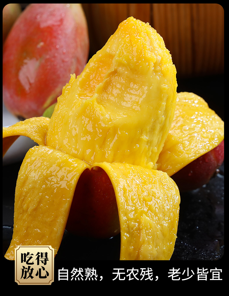 广西精品贵妃芒中果礼盒装 单果150g 