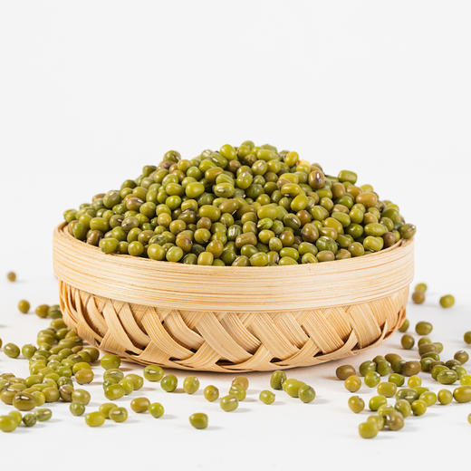 野森林降温组合方案1125g 商品图4