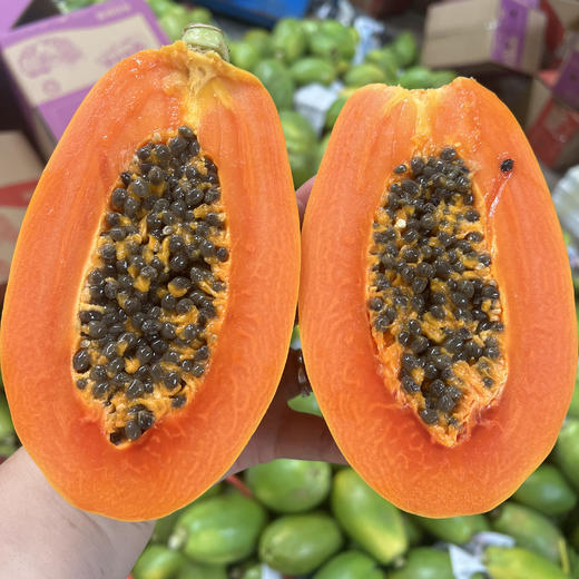 【红心木瓜】牛奶木瓜香甜润红，肉厚多汁，独特的口味，一口爱上它的美味 商品图0
