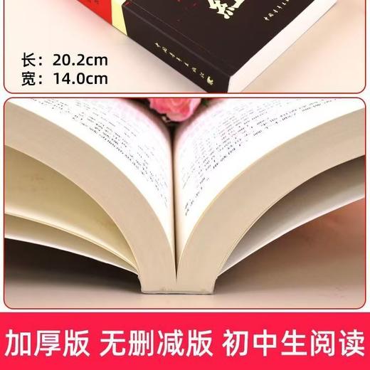 《红岩》 经典文学名著无删减完整版、爱国主义教育读物、初中生 商品图6