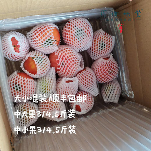 有机瑞粉番茄/草莓西红柿（基地直发-顺丰包邮）|3斤、4.5斤装，来自云南“四只瓢虫”昆明基地，生产者：王建钧【合作生产，公平贸易】 商品图4