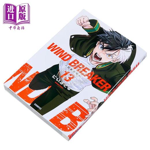 【中商原版】漫画 WIND BREAKER—防风少年— 第13集 にいさとる 台版漫画书 尖端出版社 商品图2