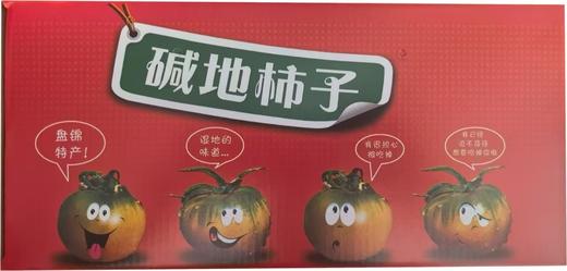 盘锦碱地柿子2.5kg 商品图3