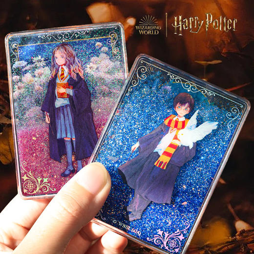 正版授权哈利波特冰箱贴磁吸贴四学院冰箱贴霍格沃兹魔法学院冰箱贴 商品图1