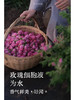 特制芳疗玫瑰细胞液蓝铜30%玻色因精华修护淡纹芳香馥郁 商品缩略图4