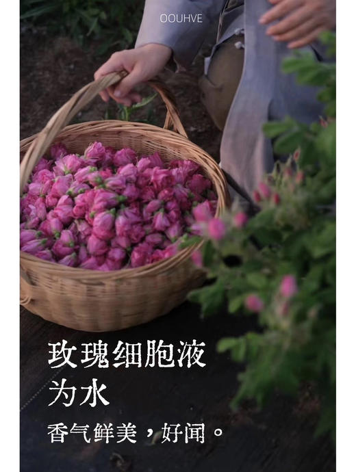 特制芳疗玫瑰细胞液蓝铜30%玻色因精华修护淡纹芳香馥郁 商品图4