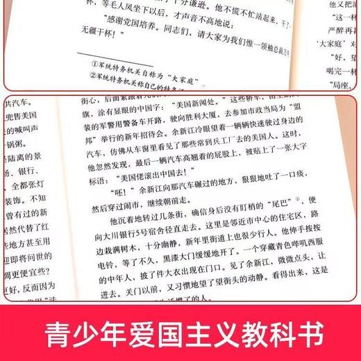 《红岩》 经典文学名著无删减完整版、爱国主义教育读物、初中生 商品图5