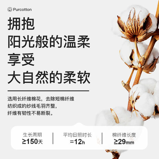 I’d爱帝男士夏季薄款短裤可外出休闲沙滩裤 商品图3