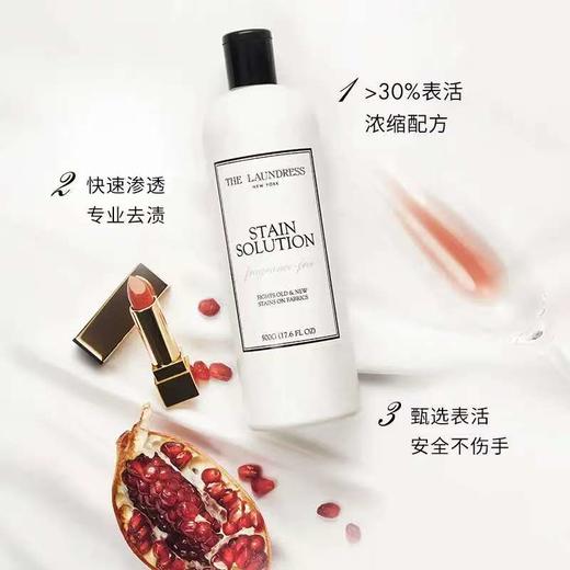 4楼Eubelle欧蓓 THE LAUNDRESS衣物去渍清洁液500g 局部高效去污 活动价：160元 商品图1