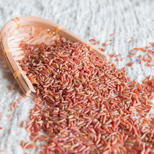 阿比该红米850g 商品图2