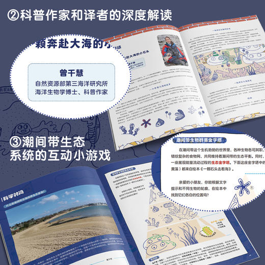 一颗石头去看海 商品图9