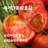 有机瑞粉番茄/草莓西红柿（基地直发-顺丰包邮）|3斤、4.5斤装，来自云南“四只瓢虫”昆明基地，生产者：王建钧【合作生产，公平贸易】 商品缩略图0