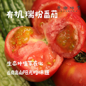有机瑞粉番茄/草莓西红柿（基地直发-顺丰包邮）|3斤、4.5斤装，来自云南“四只瓢虫”昆明基地，生产者：王建钧【合作生产，公平贸易】