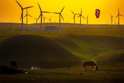 光影北疆·地质奇观摄影之旅——内蒙乌兰哈达火山、大红山峡谷、古力脑包玄武岩六棱柱群、黄河老牛湾、大同土林摄影团6天 商品图9