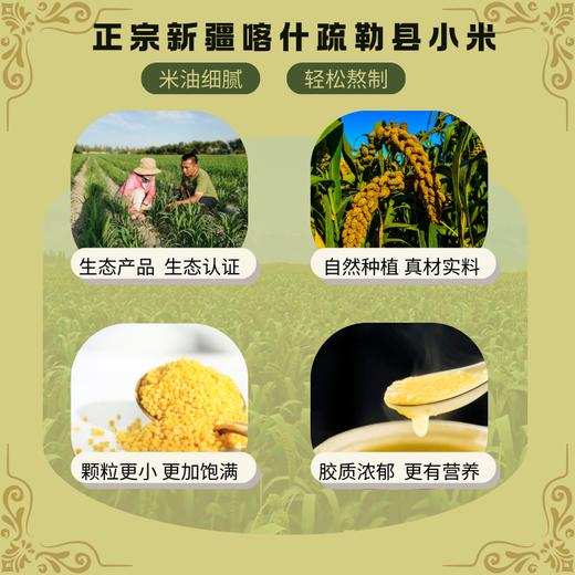 新疆粥师傅沙漠生态小米2.5kg 商品图3