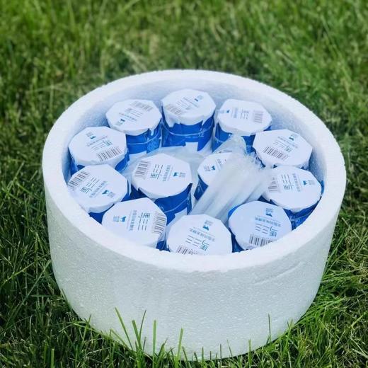 马三三·原味酸奶 180克*11罐  生牛乳发酵  醇厚香浓 商品图3