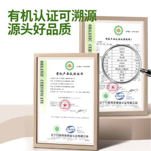 【武汉-蔡甸】优道有机绿豆750g/750g*2 商品图6