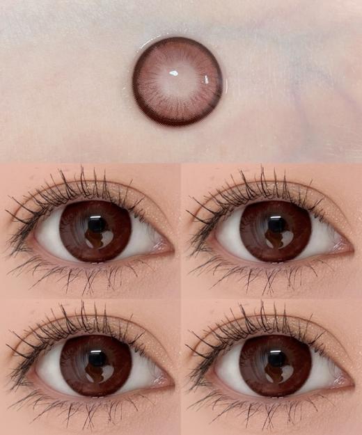 EallaGirl年抛美瞳 馥郁巧克栗 14.5mm 商品图0