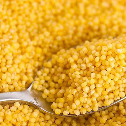 阿比该黄小米850g 商品图2