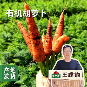 云南有机胡萝卜3斤/5斤│ 合作农友生产，产自云南昆明，生产者：王建钧 *【公平贸易农人定价】