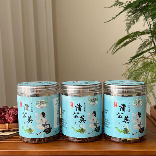 有机野生蒲公英根2罐（净重200克/罐）【产地：长白山】 商品图4