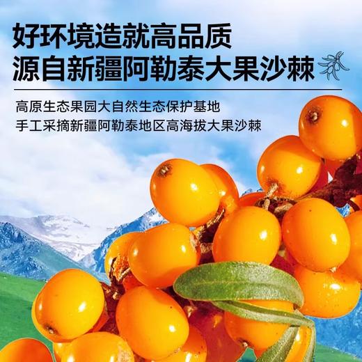 吉萃元·有机冻干沙棘全果粉·160g  不提油不提籽 全果全健康 商品图2