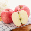 【宜昌助农馆】 脆甜多汁 新鲜洛川红富士苹果 精选大果 礼盒装12枚 商品缩略图3