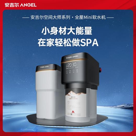 安吉尔中央软水机Y3561-F08 商品图0