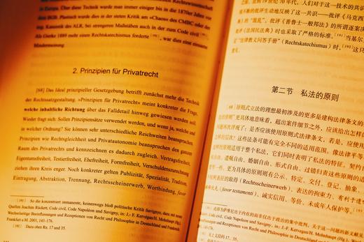 《德国民法典》及其原则：任务、对策与成效——中国民法典评注·评注研究（第2部）|赠讲座 商品图6