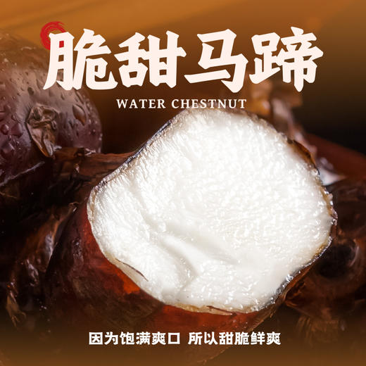 袁记味享马蹄冬菇大云吞 （3盒装）【暖男严选】 商品图1