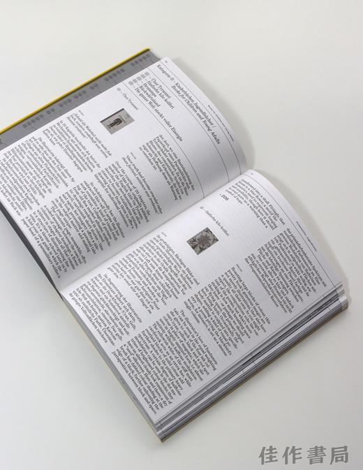 【全新现货】Die Schonsten Deutschen Bucher 2022: The Best German Book Design 2022 / 2022年度最佳德国书籍设计 商品图4