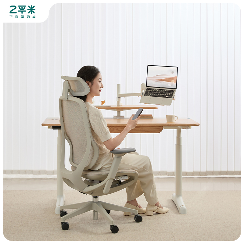 2平米青少年成人电脑椅护腰办公椅A300人体工学椅
