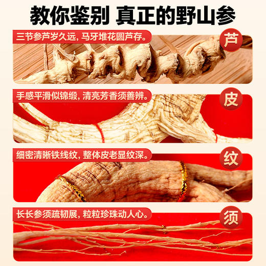 雷允上15年整支野山参10g/盒（二等二级） 商品图3