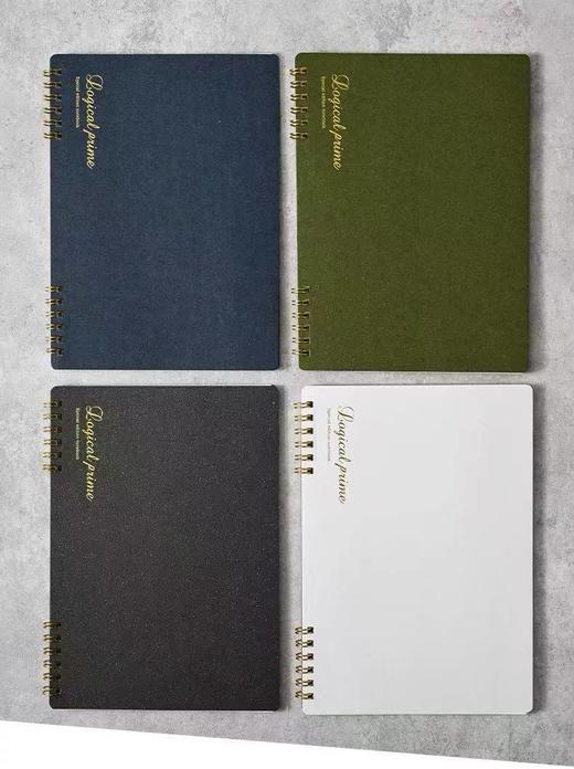 日本仲林Nakabayashi线圈商务烫金笔记本日程办公笔记本 商品图1