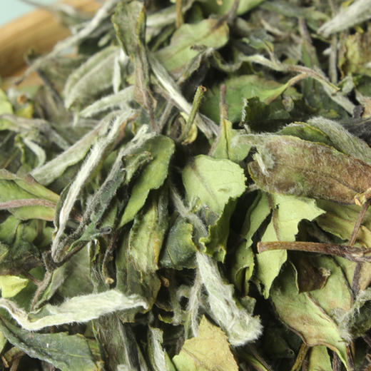 鼎茗荟丨2025年花香牡丹 磻溪白牡丹 福鼎白茶 二级 250g 手提纸盒大份量，自饮囤茶性价比高，转化潜力大 商品图2