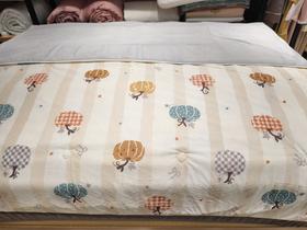 2025夏维怡新款凉感丝夏被