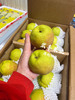 宏丰精选，正宗库尔勒香梨，口感脆甜，水份足，活动价9.9元一斤 商品缩略图2
