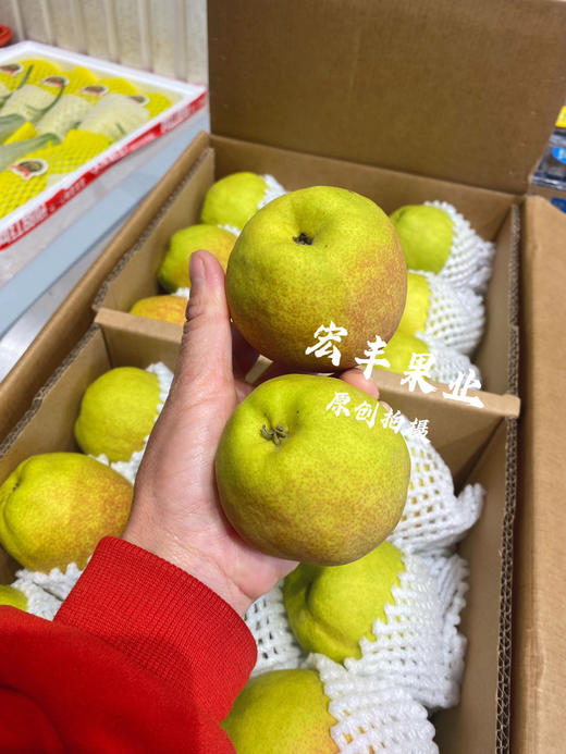 宏丰精选，正宗库尔勒香梨，口感脆甜，水份足，活动价9.9元一斤 商品图2