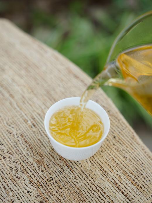 10月1日中午12点【梅子箐单株】2025年头春头采，亲上山收取仅有20公斤，梅子香迷人。500克/袋 商品图6