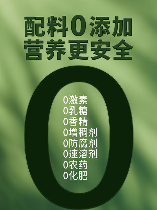 多然蒙北高蛋白燕麦植物奶粉0乳糖0添加原味奶粉营养健康早餐全家老小适用 商品图5