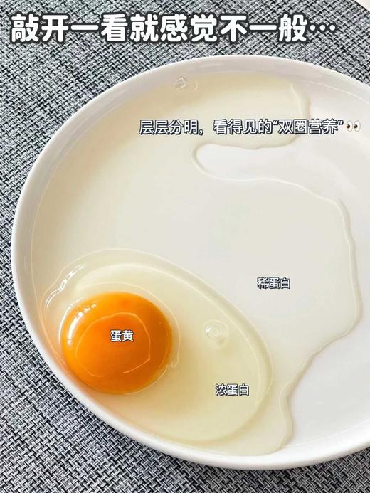 富硒无抗鲜鸡蛋🥚(45.8元/板60枚)明天到 商品图6