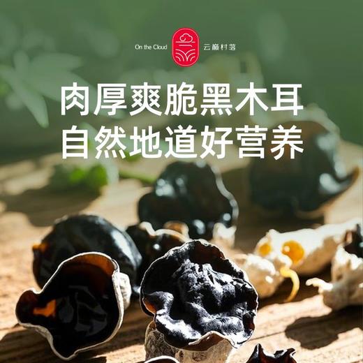 云南黑木耳 商品图1