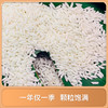 南纳香泰国糯米5kg长粒糯米江米10斤-荷花系列杂粮/包粽子年糕日期新鲜 /粮油调味 /米 /泰国香米 商品缩略图6