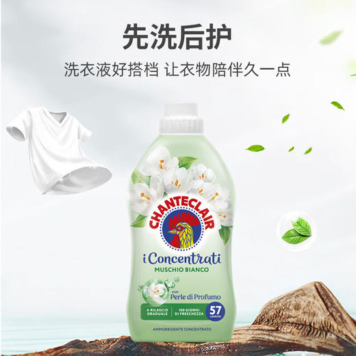 CHANTECLAIR大公鸡管家 浓缩香氛柔顺剂花香型洗衣液 1140ml/瓶 商品图9