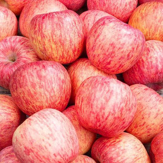 新鲜水果  脆八瓣苹果 脆甜可口  3斤装 商品图3