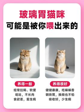 猫咪呕吐拉稀❓原来是“玻璃胃”惹的祸‼️